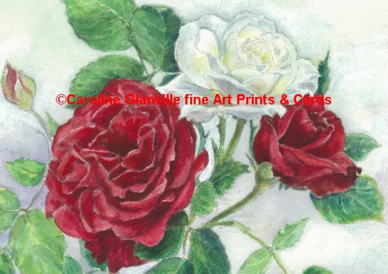floral card set, painting by Caroline Glanville